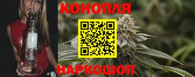 apvp Камень-на-Оби