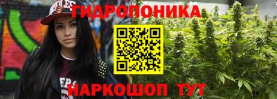 прущие грибы Ижевск