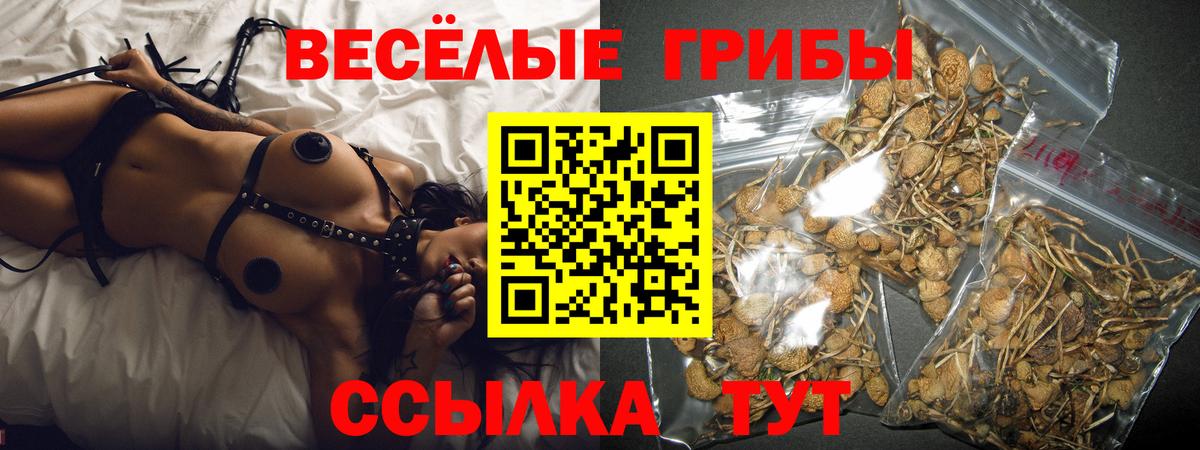 Псилоцибиновые грибы мухоморы  как найти наркотики  Галлюциногенные грибы Cubensis  Боровичи  Вход с VPN 